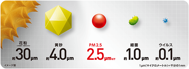 花粉　黄砂 PM2.5 細菌　ウィルス　サイズ比較イメージ