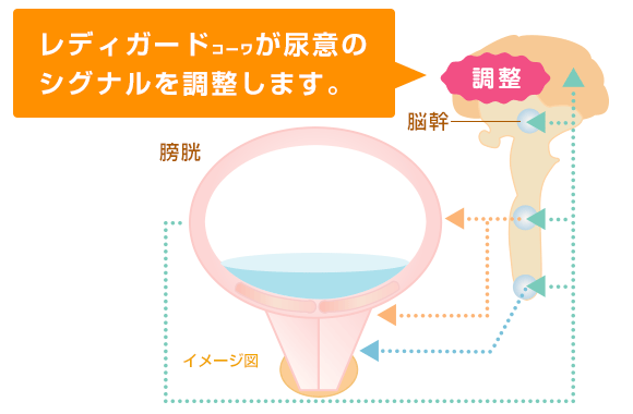 図2
