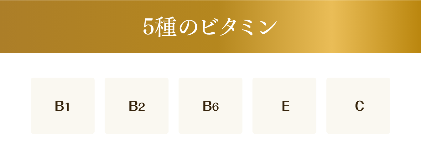 5種のビタミン B1・B2・B6・E・C