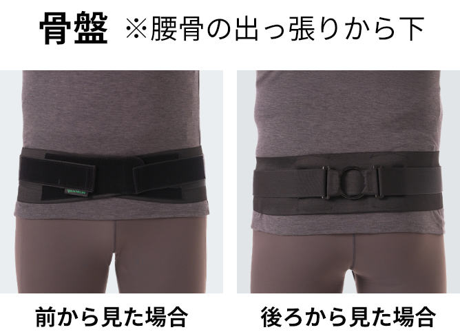 サポート範囲 骨盤 ※腰骨の出っ張りより下前から見た場合/後ろから見た場合