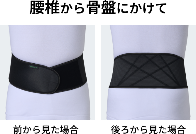 サポート範囲 腰椎から骨盤にかけて 前から見た場合/後ろから見た場合
