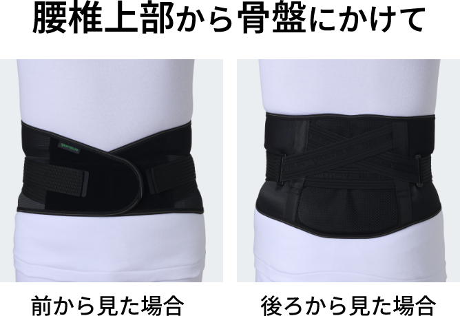 サポート範囲 腰椎から骨盤にかけて 前から見た場合/後ろから見た場合