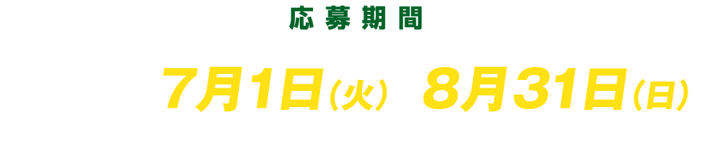 応募期間