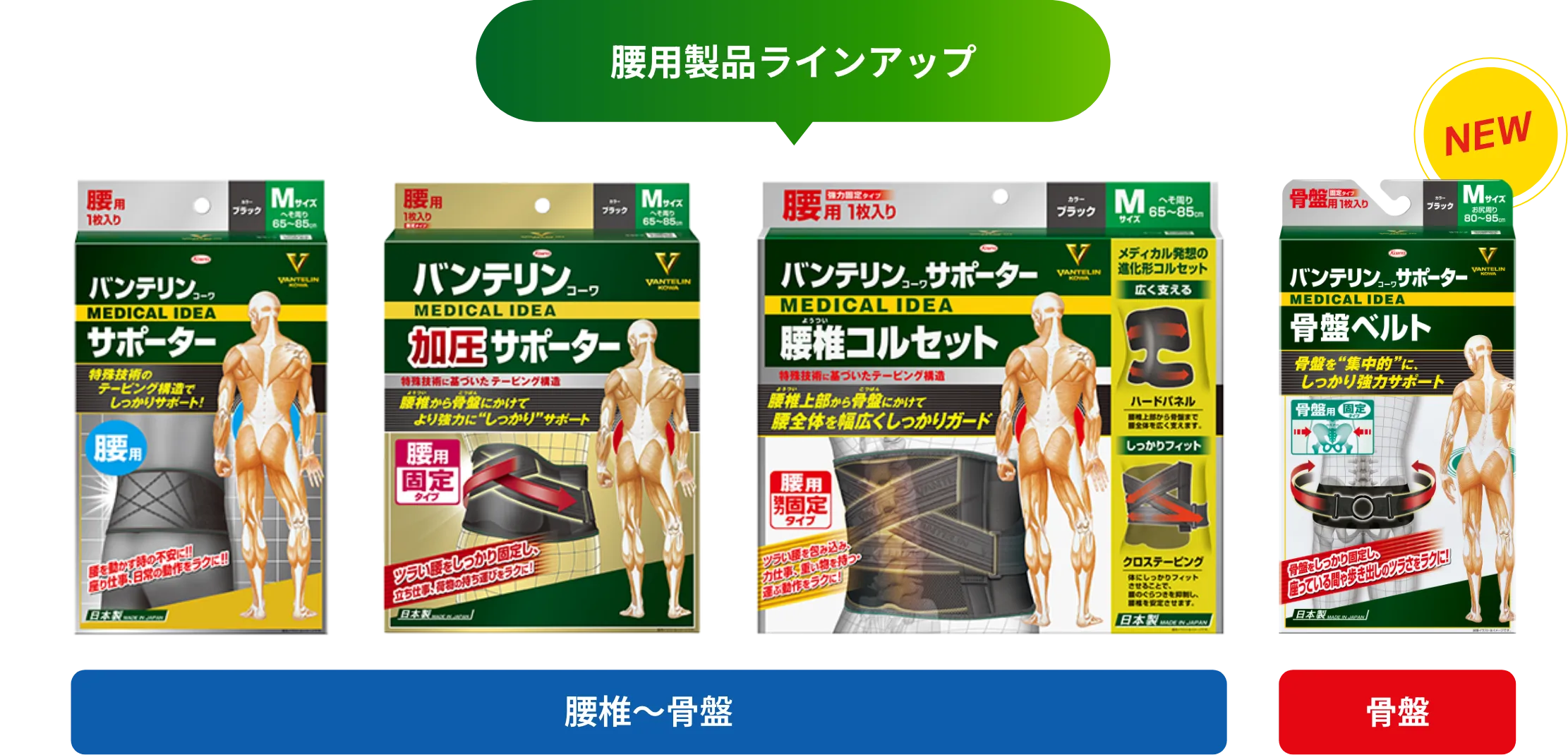 腰用製品ラインアップ