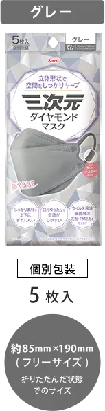 グレー 個別包装 5枚入り 約85mm×190mm（フリーサイズ）折りたたんだ状態でもサイズ