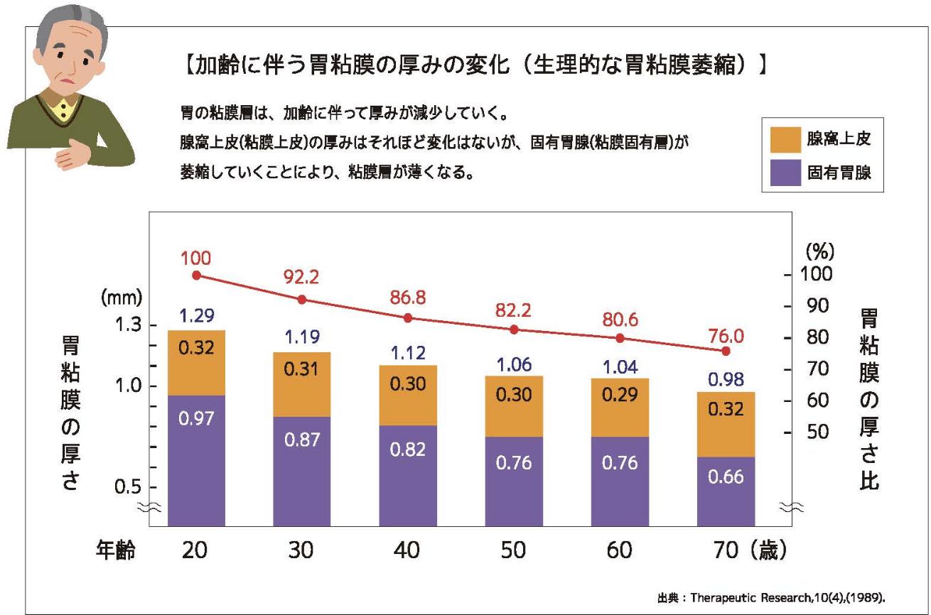 加齢とともに“薄くなる”胃粘膜