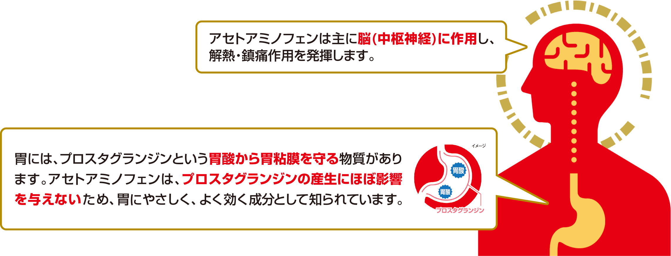 アセトアミノフェンは、胃にやさしく、よく効く成分