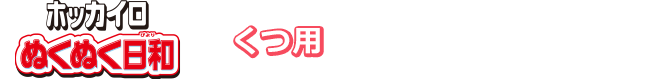 ホッカイロぬくぬく日和　くつ用