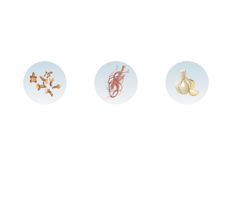 3種の生薬配合 5種のビタミン