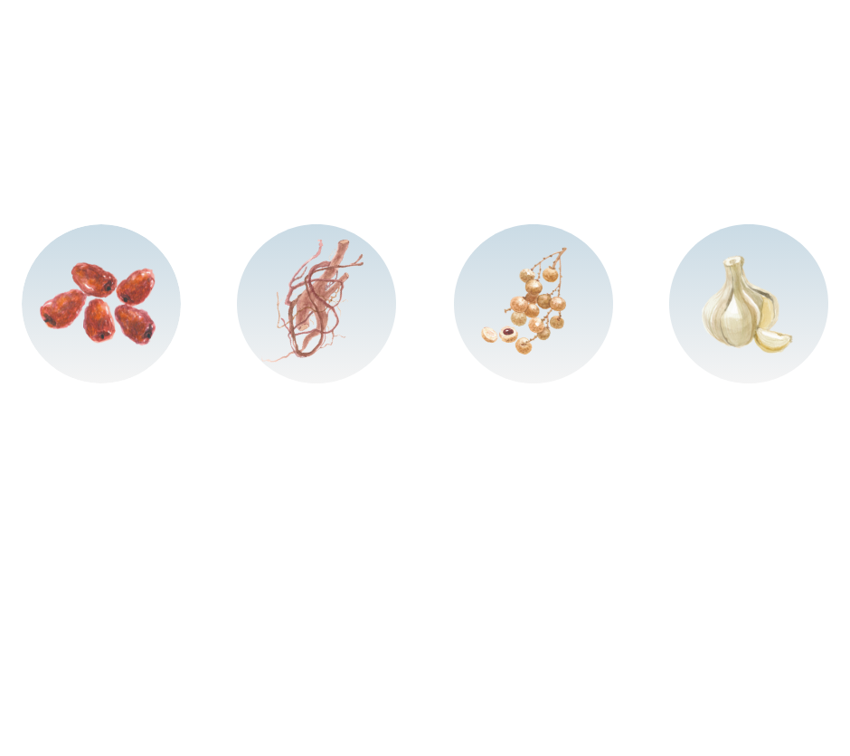 4種の生薬配合 4種のビタミン