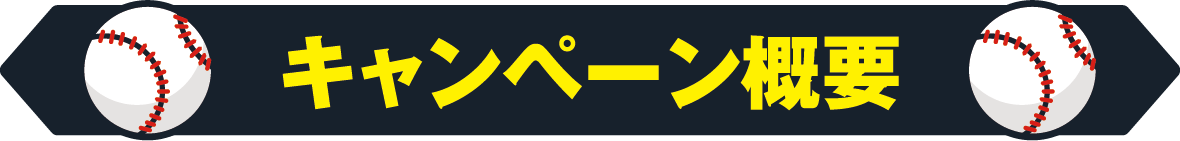 キャンペーン概要
