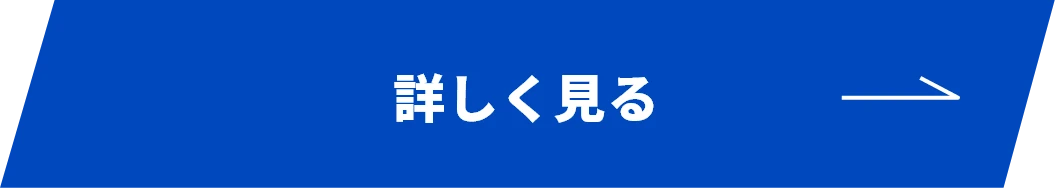 詳しく見る