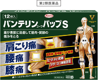 バンテリンコーワ パップS