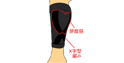 X字型編みのクロス上部が、腓腹筋を下から支えるような位置に合わせ、たるみがないようにしてください。（ひざ関節にかからないようにしてください。）