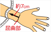サイズの選び方