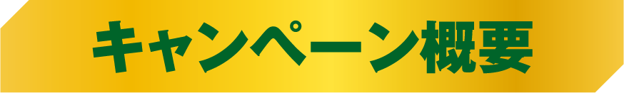 キャンペーン概要