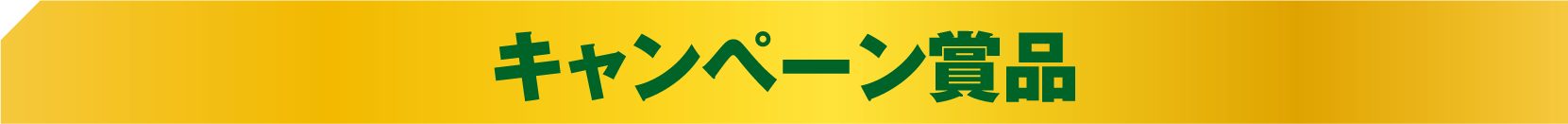 キャンペーン商品