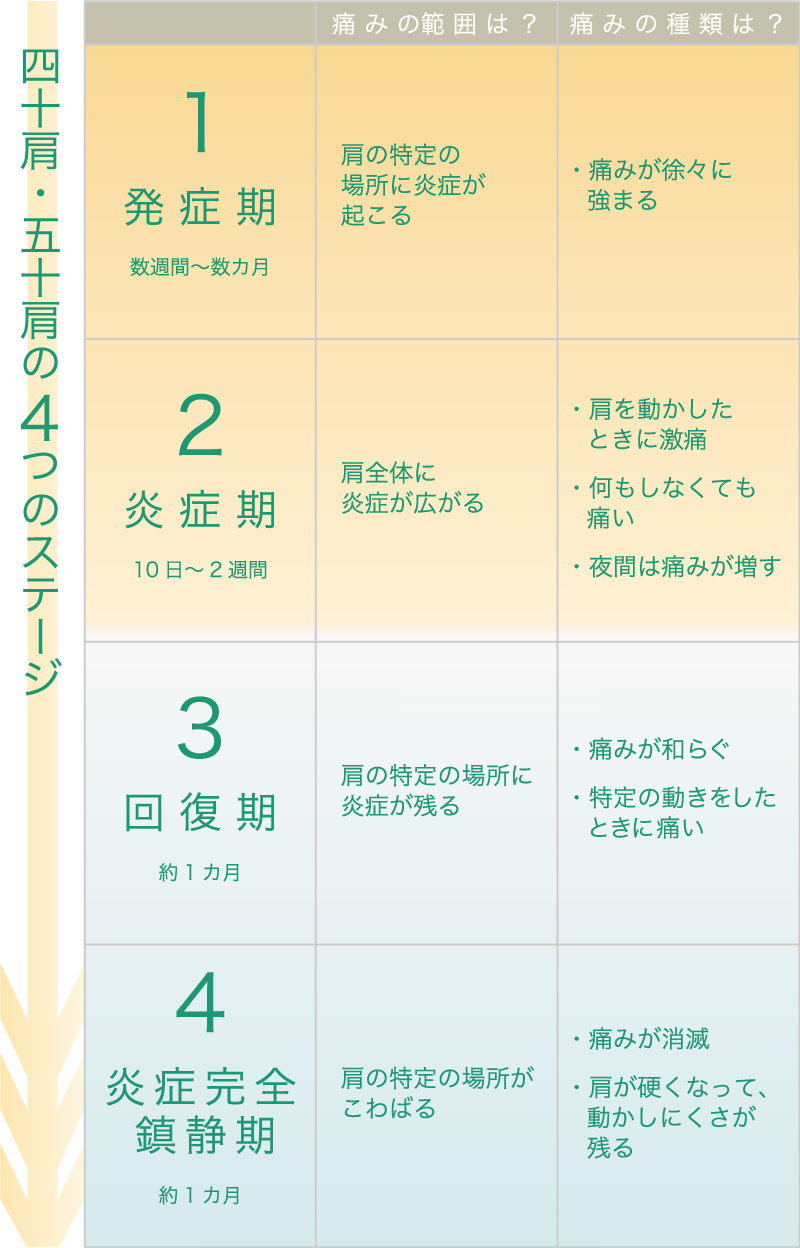 四十肩・五十肩の4つのステージ